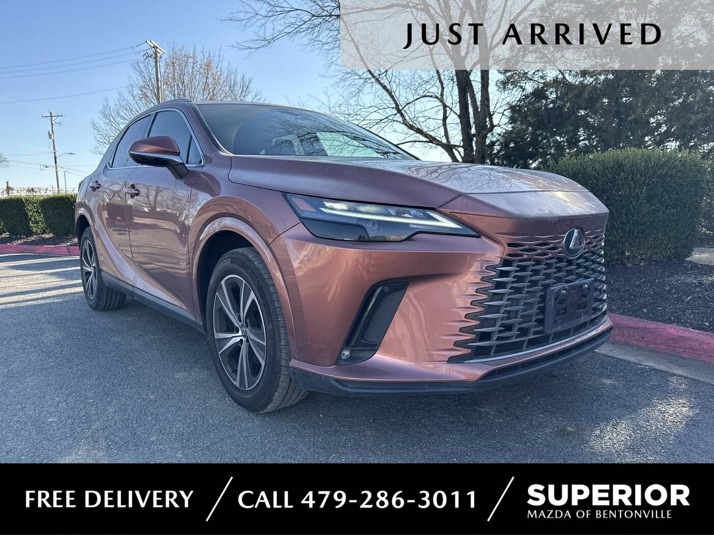 2023 LEXUS RX
