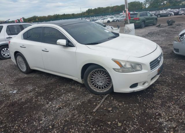 Nissan Maxima