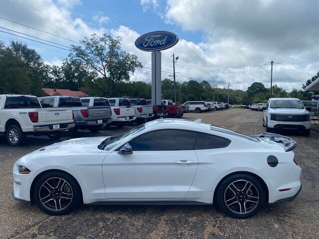 2023 FORD Mustang