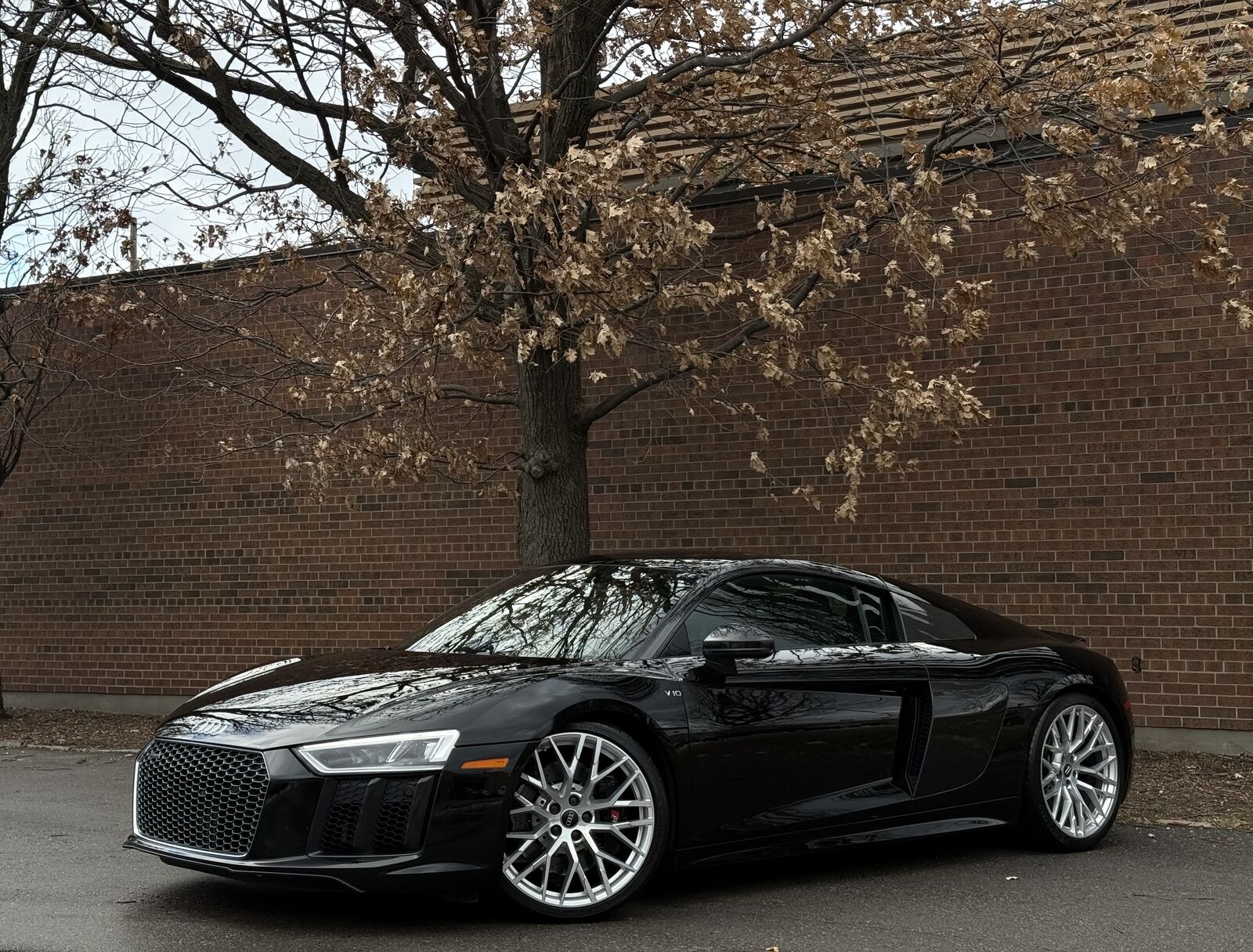 Audi R8