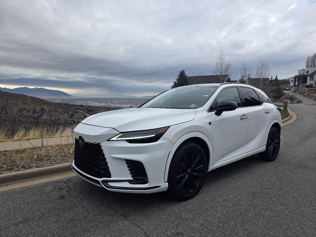 2023 LEXUS RX