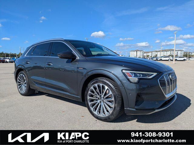 2019 AUDI e-tron
