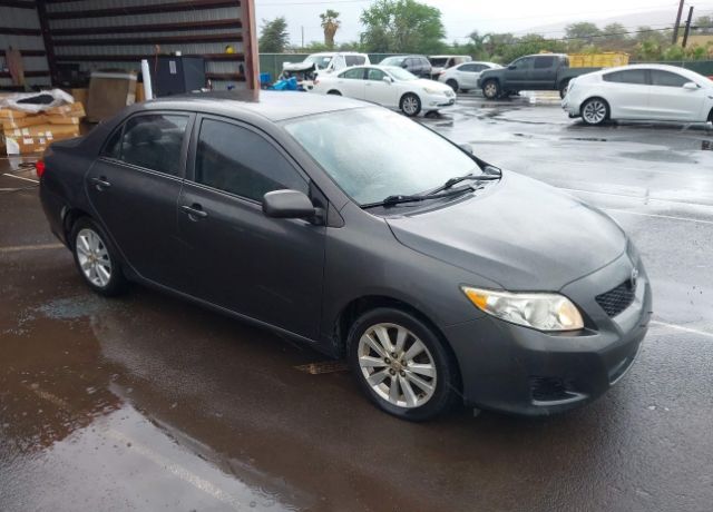 2010 TOYOTA Corolla