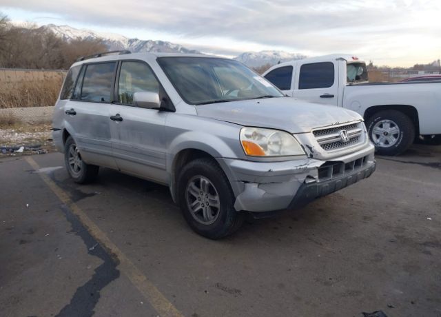 2005 HONDA Pilot