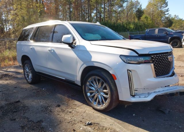 2022 CADILLAC Escalade