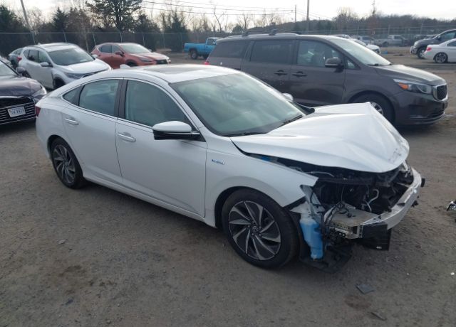 2019 HONDA Insight