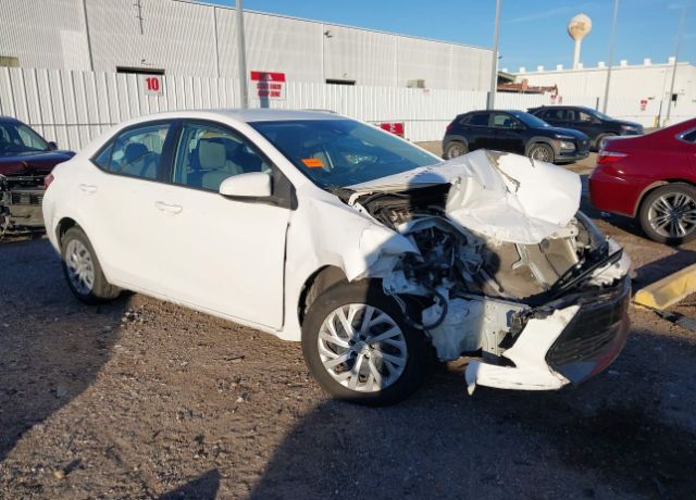2019 TOYOTA Corolla
