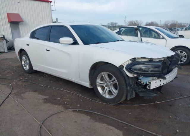 2019 DODGE Charger