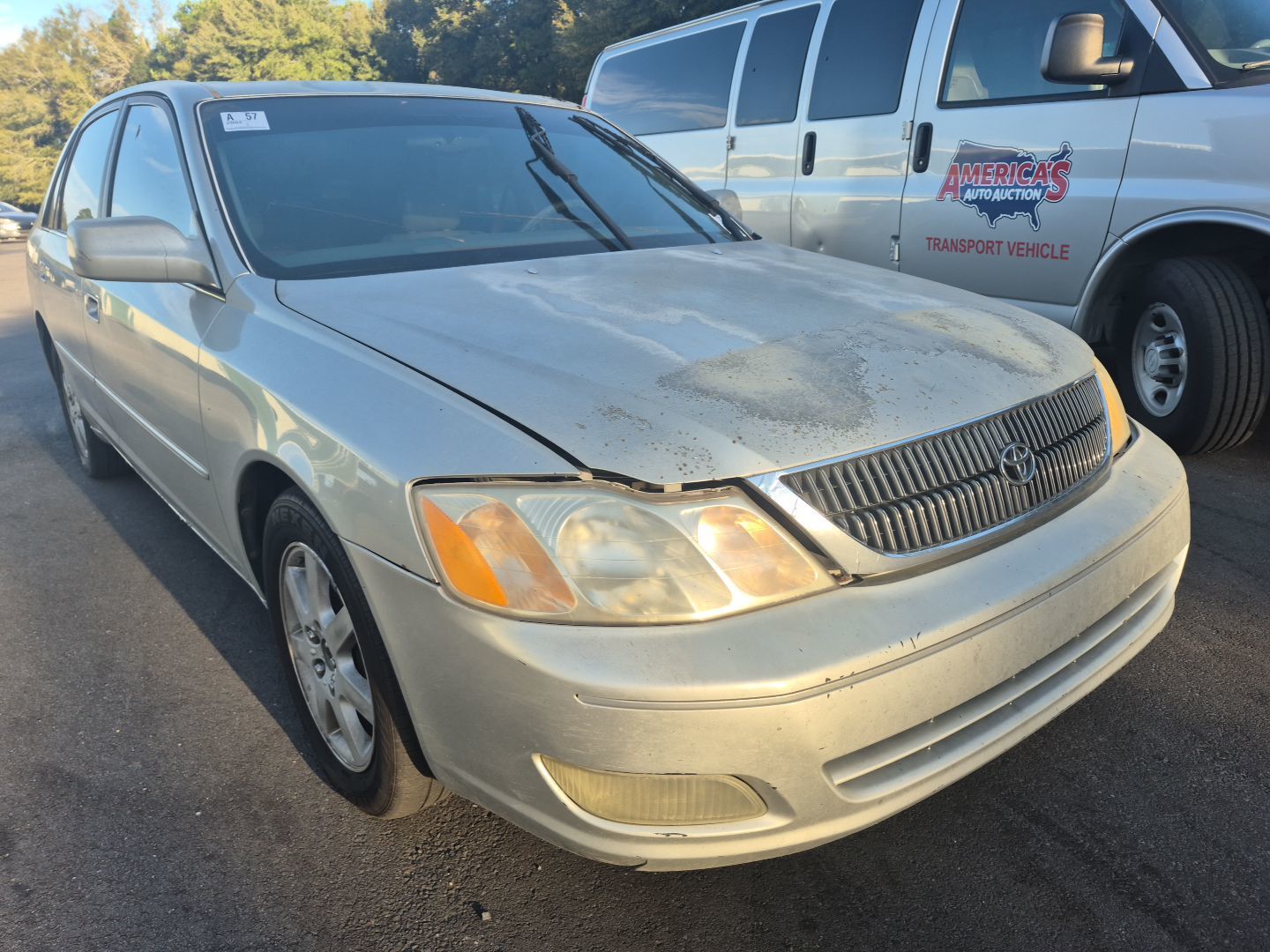 Toyota Avalon