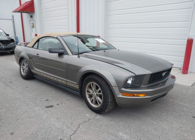 2005 FORD Mustang