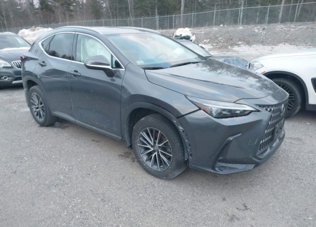 2023 LEXUS NX