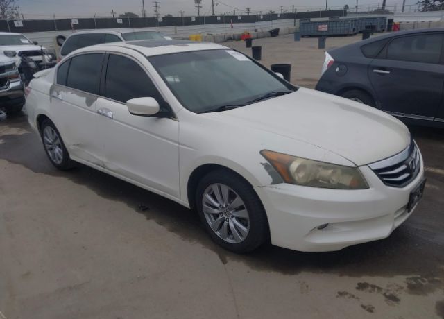 2011 HONDA Accord