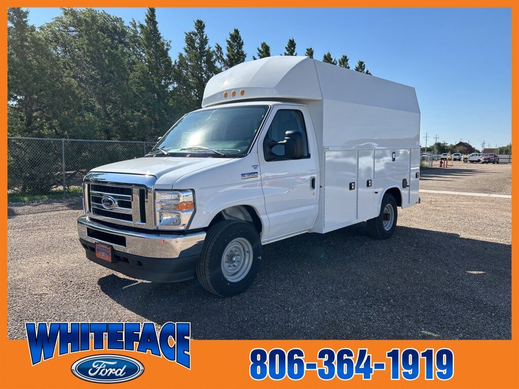 2025 FORD E-350