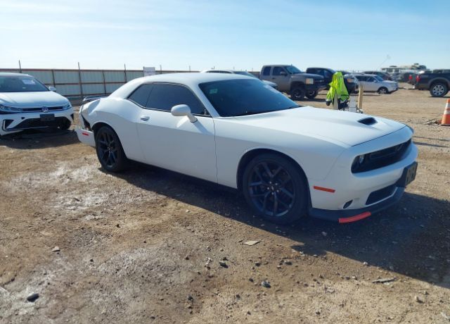 2019 DODGE Challenger