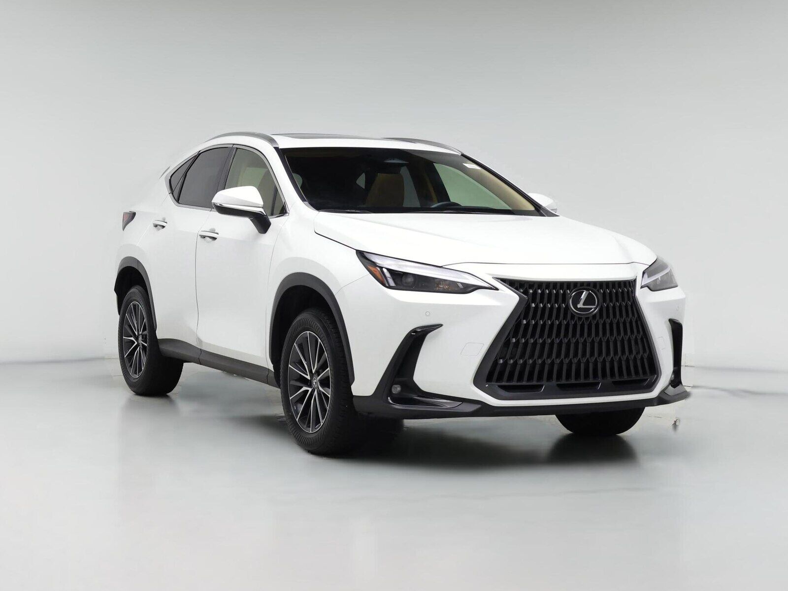 2024 LEXUS NX