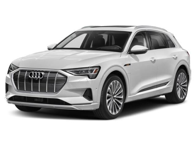 2019 AUDI e-tron