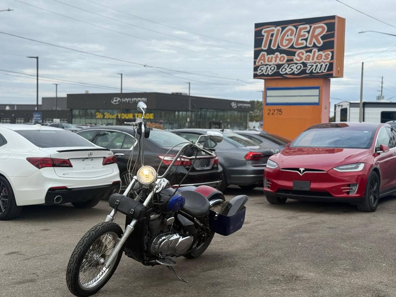Suzuki VL800K