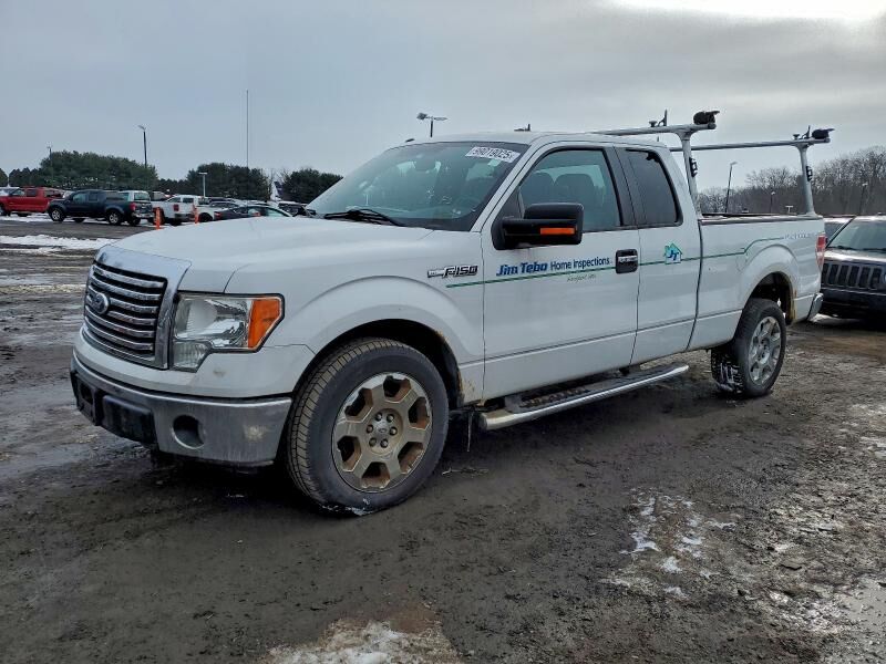 2010 FORD F-150