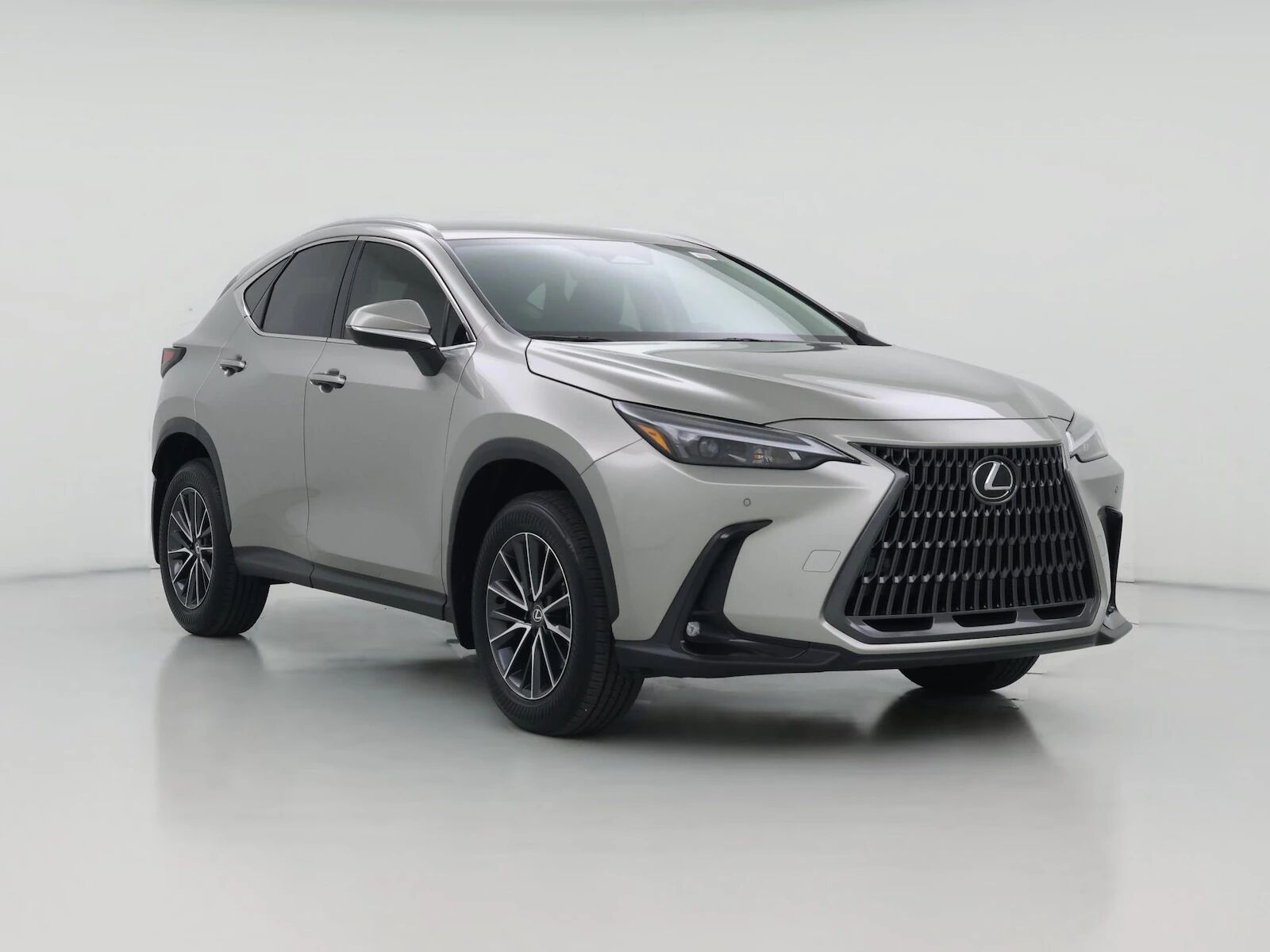 2025 LEXUS NX