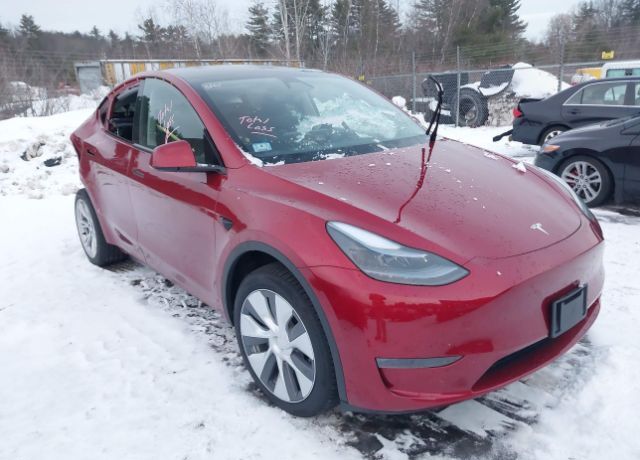 2024 TESLA Model Y