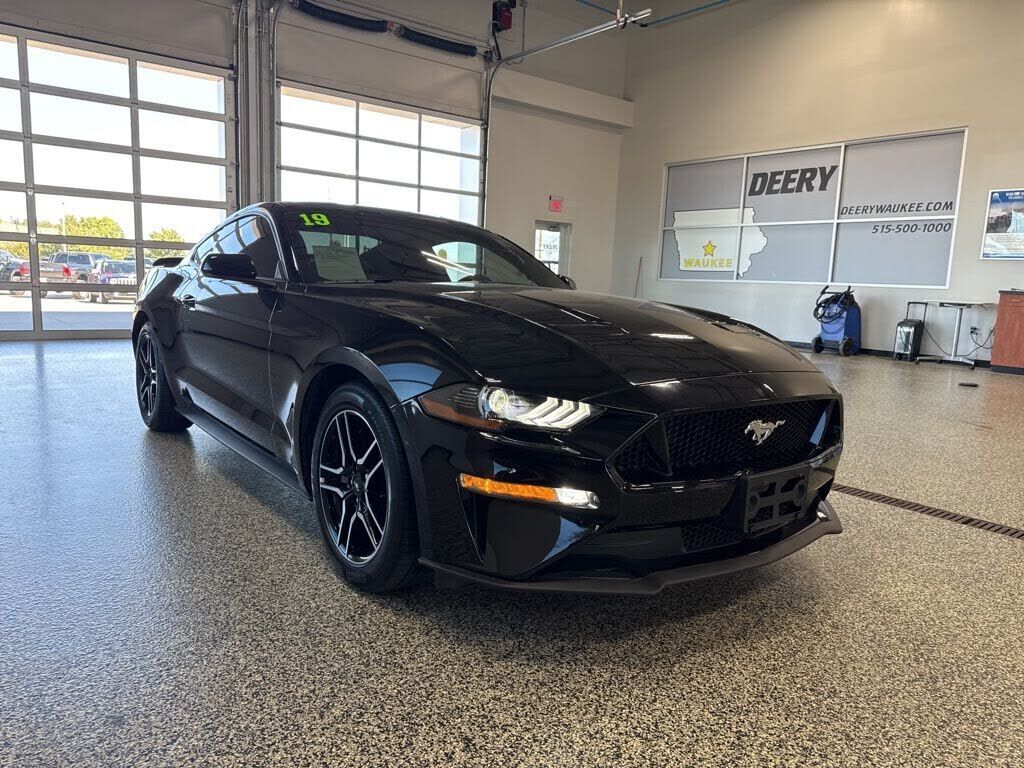 2019 FORD Mustang