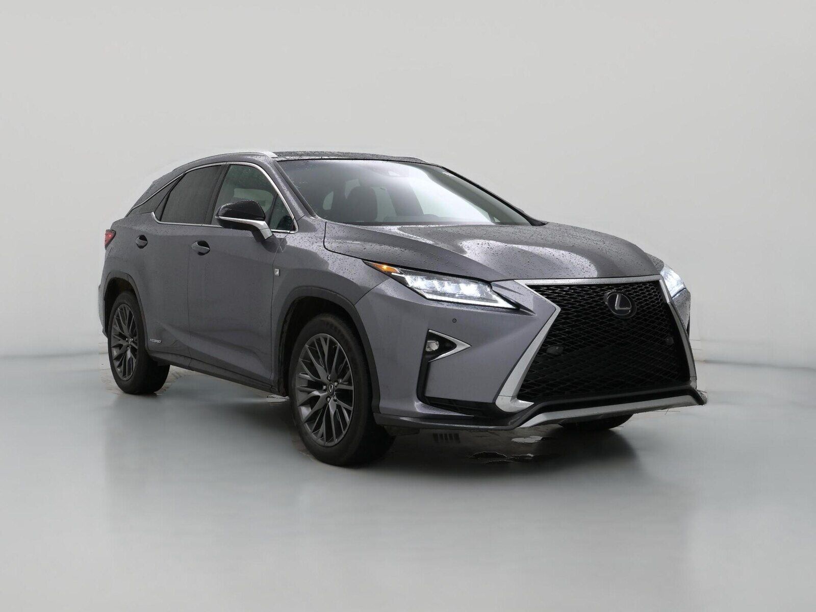 2019 LEXUS RX