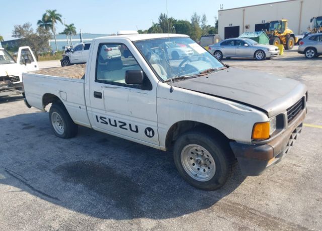 Isuzu Pickup