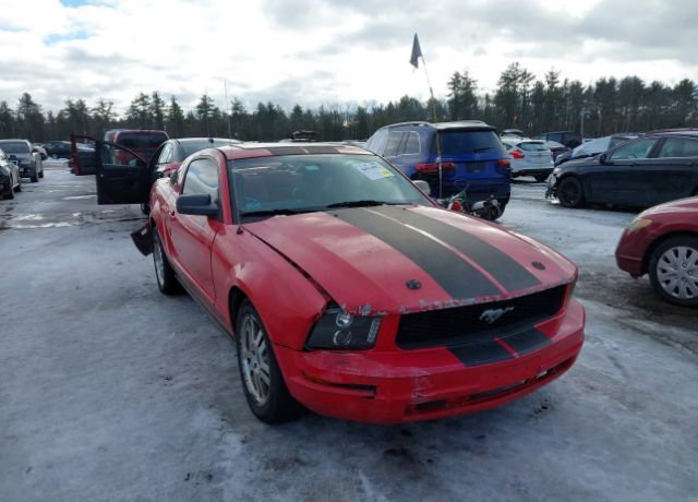 2005 FORD Mustang