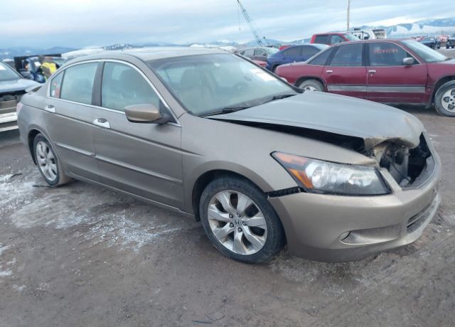 2008 HONDA Accord