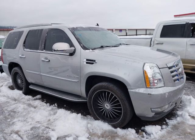 2011 CADILLAC Escalade