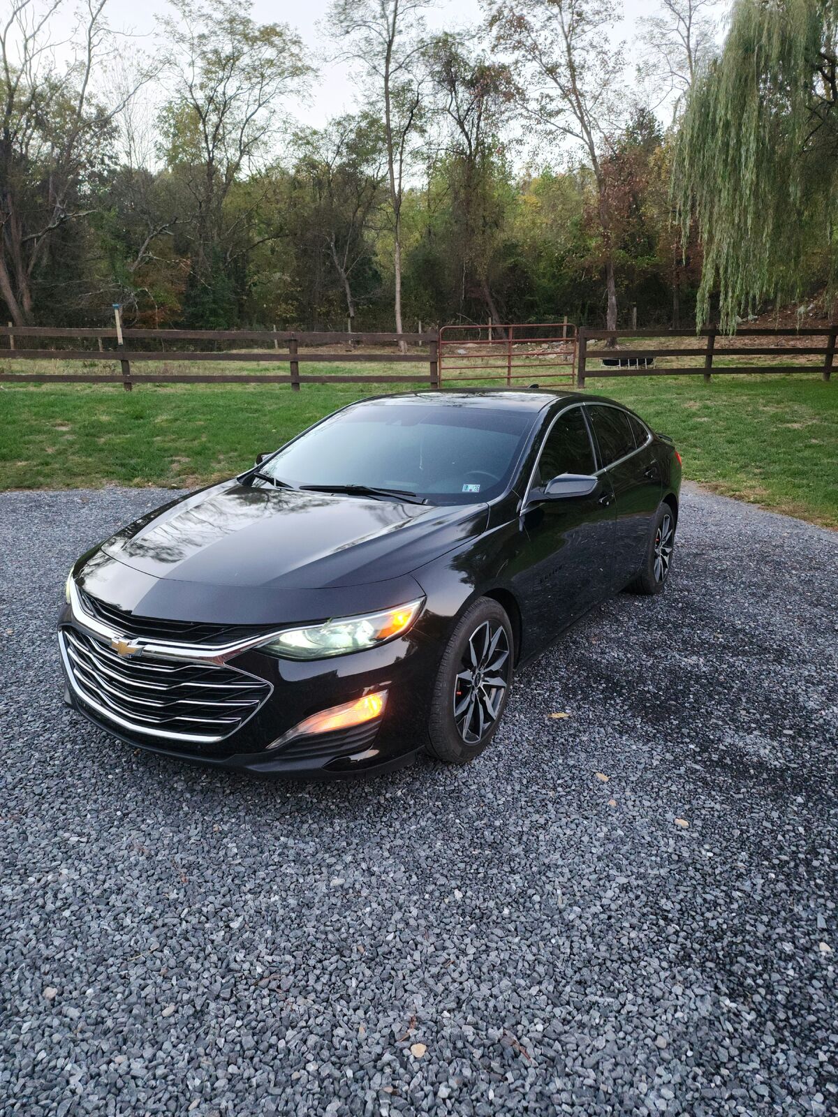 2023 CHEVROLET Malibu
