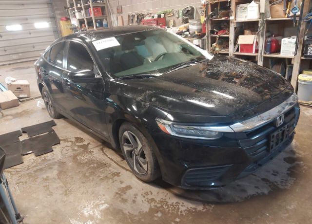 2019 HONDA Insight