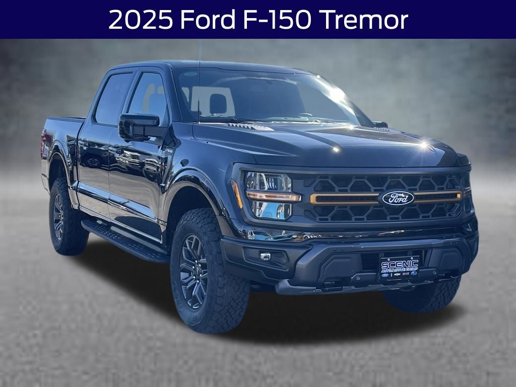 2025 FORD F-150