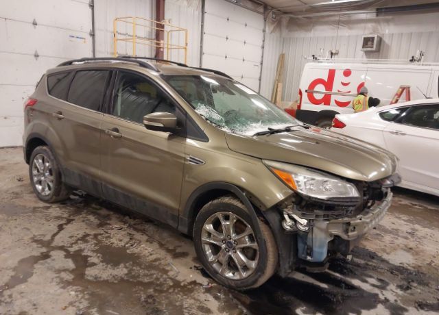 2013 FORD Escape
