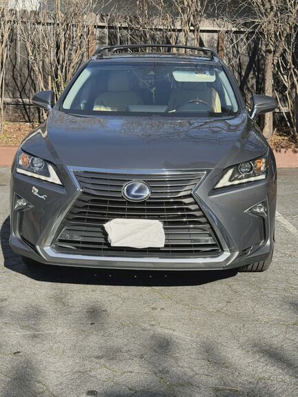2019 LEXUS RX