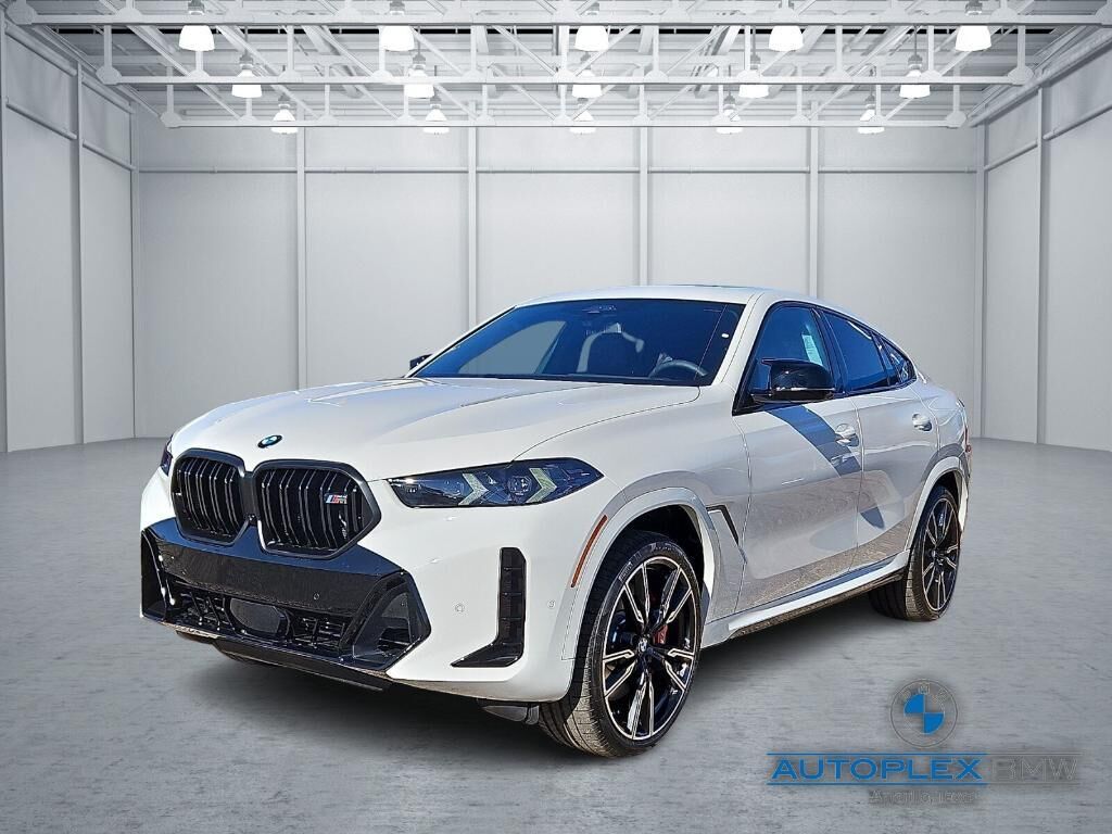 2026 BMW X6