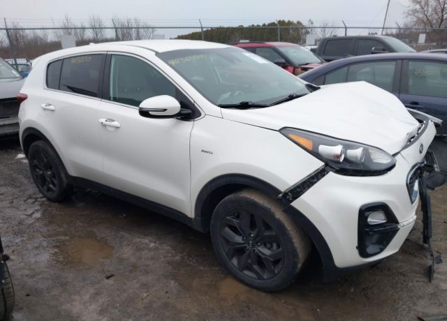 2022 KIA Sportage