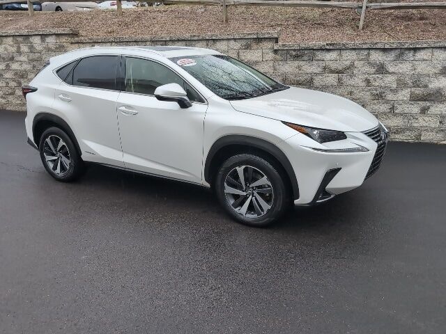 2020 LEXUS NX