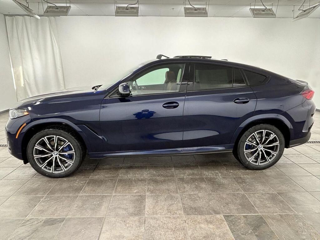 2026 BMW X6
