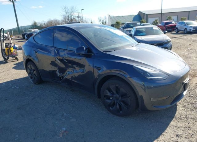 2024 TESLA Model Y