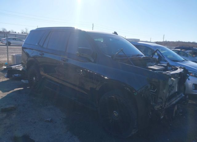 2023 CADILLAC Escalade