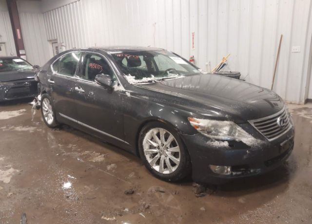 2010 LEXUS LS