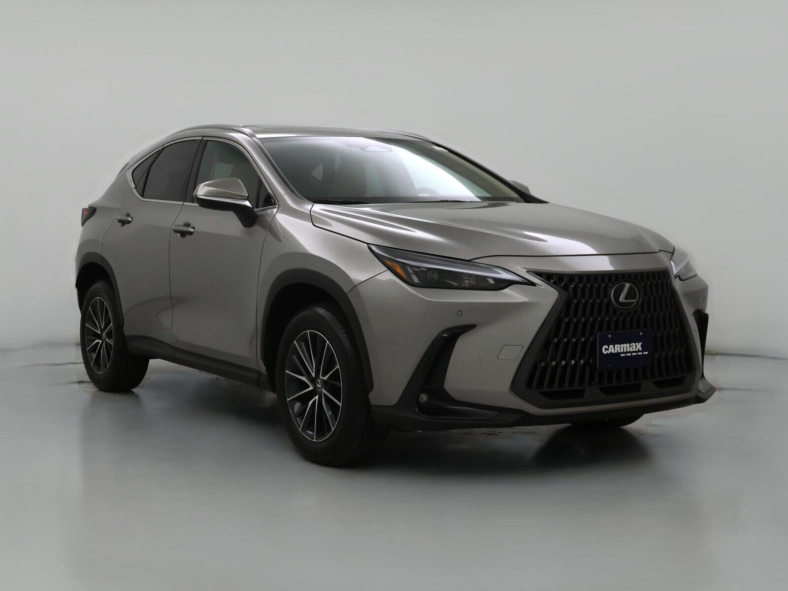 2024 LEXUS NX
