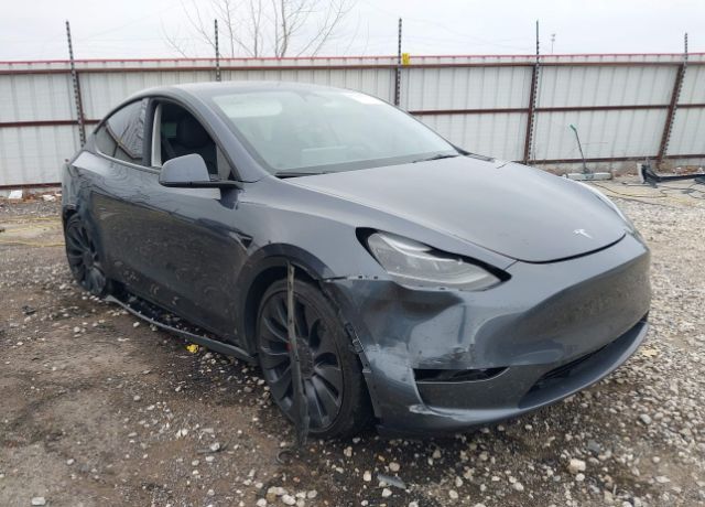 2023 TESLA Model Y