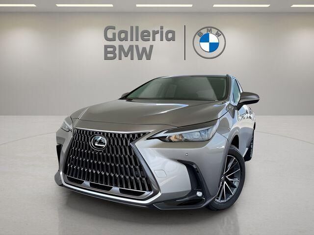 2025 LEXUS NX