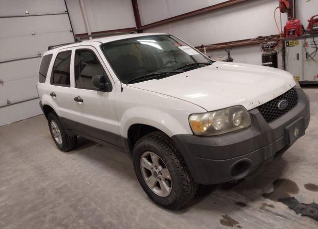2006 FORD Escape