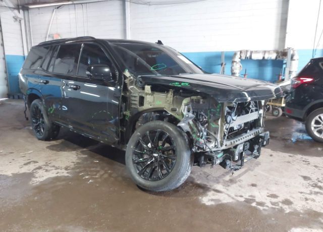 2023 CADILLAC Escalade