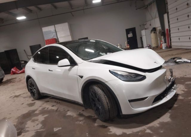 2021 TESLA Model Y