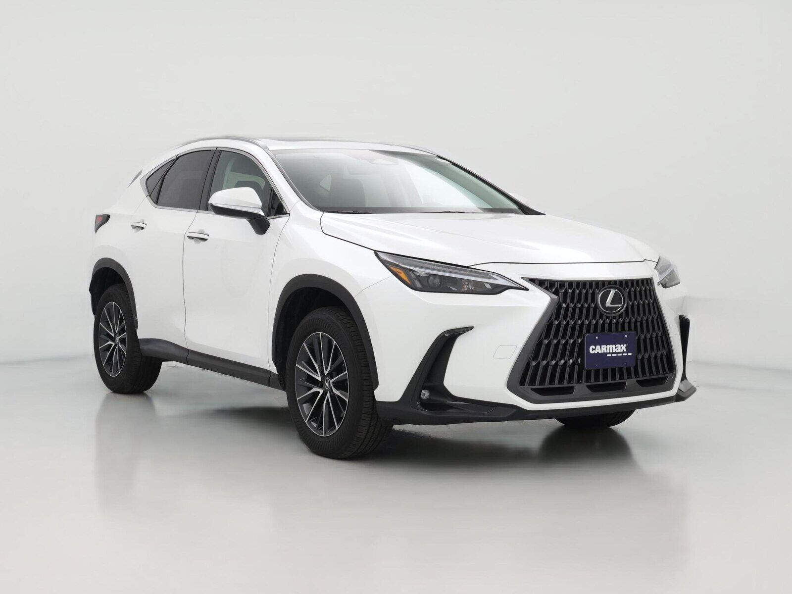 2024 LEXUS NX