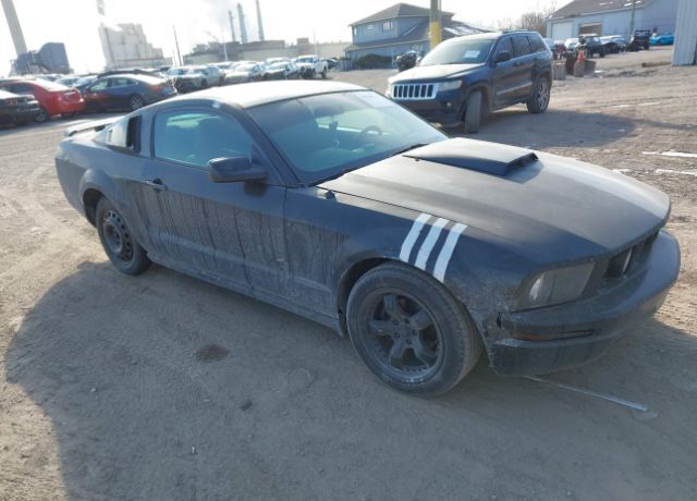 2005 FORD Mustang